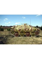 Hetzer en Panzer IV/70 (V) in Kleur